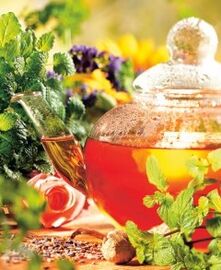 Decoctions to increase energy