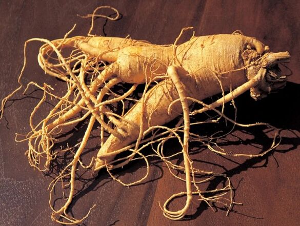 The root of the ginseng