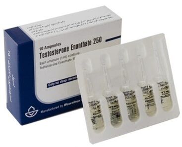 Hormonal stimulants of energy in men