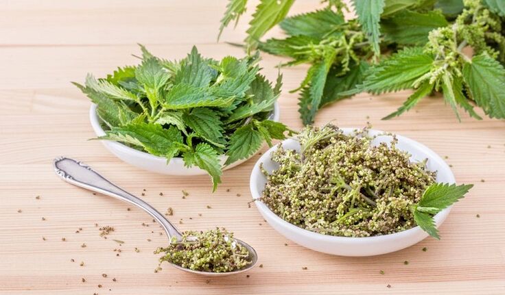 Nettle seed for potency